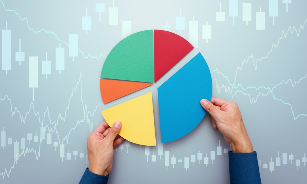 Investment Portfolio